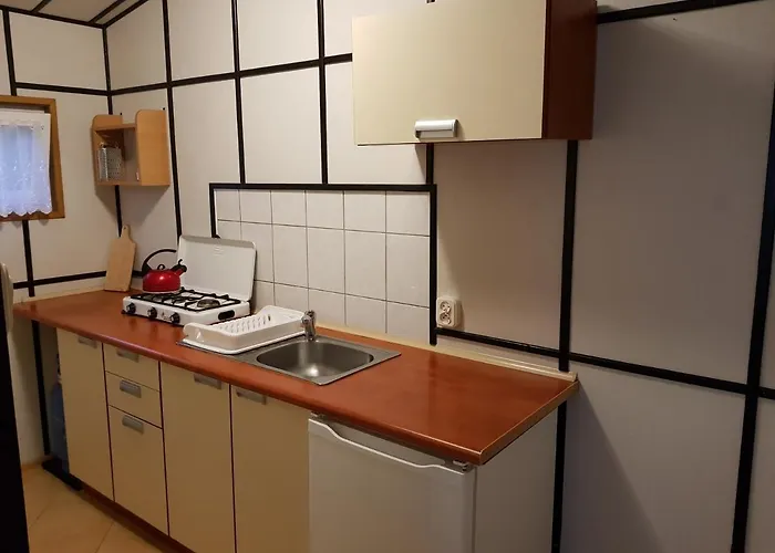 Dom Goscinny Bursztynek